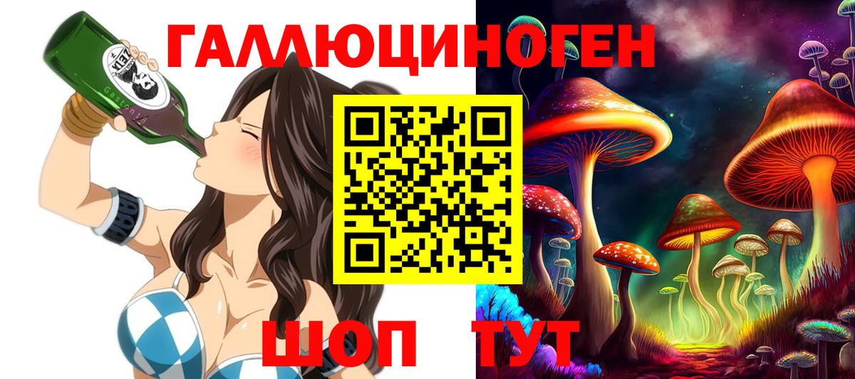 Галлюциногенные грибы Psilocybe Гусиноозёрск