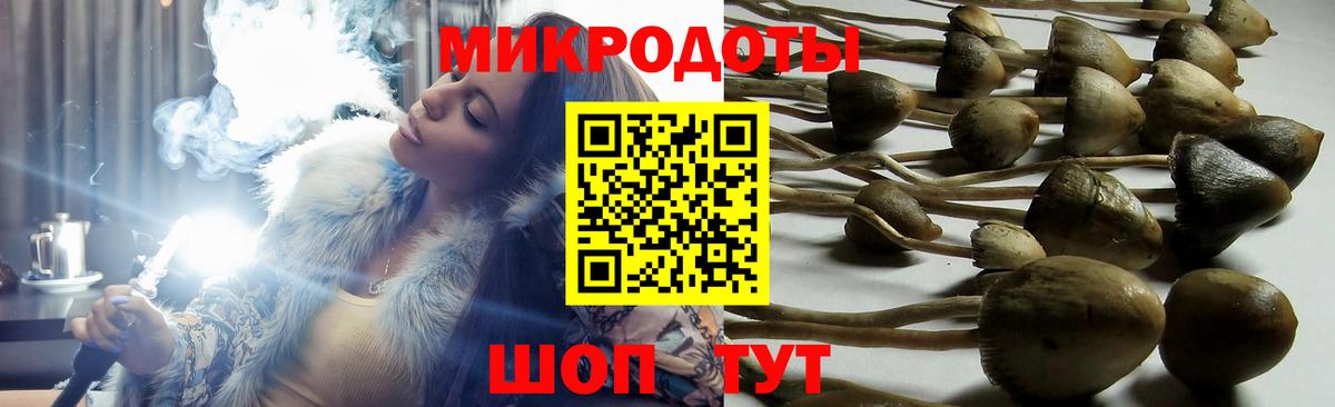 Гусиноозёрск  Галлюциногенные грибы MAGIC MUSHROOMS  Вход с VPN 